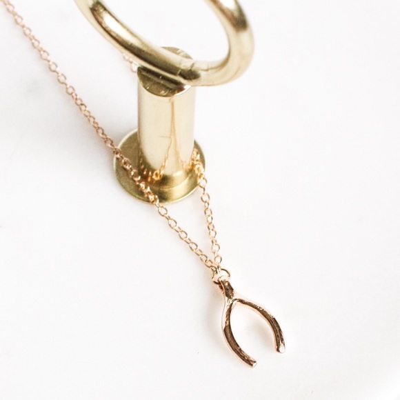 Dainty Wishbone Necklace - Picture 2 of 7